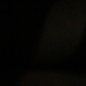 Meet your Posher, Frankie